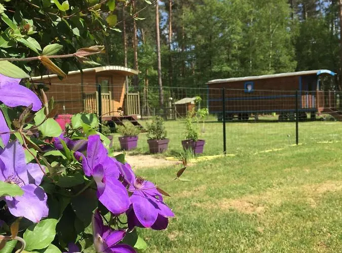 Roulottes Du Chalet Des Pins