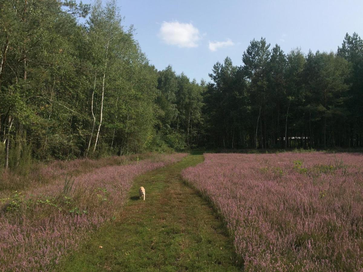 Roulottes Du Des Pins * Rougeou