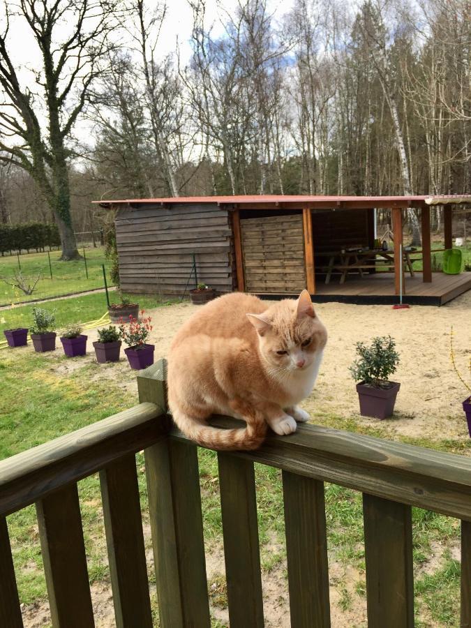 Bed & Breakfast Roulottes Du Des Pins