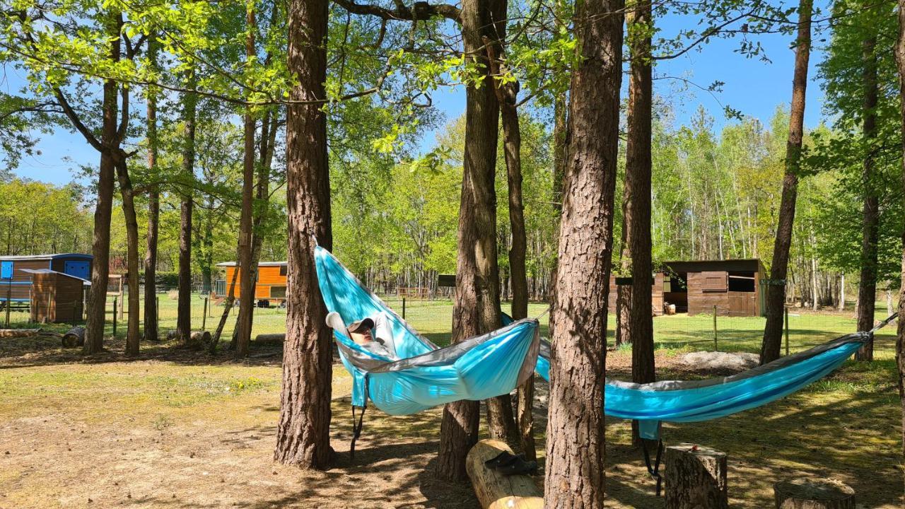 Bed & Breakfast Roulottes Du Des Pins *